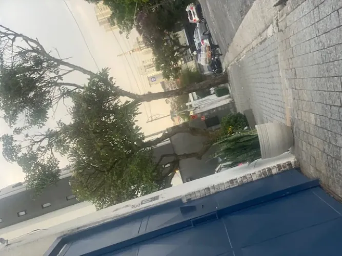 TERRENO VILA ALEXANDRIA 500M2
