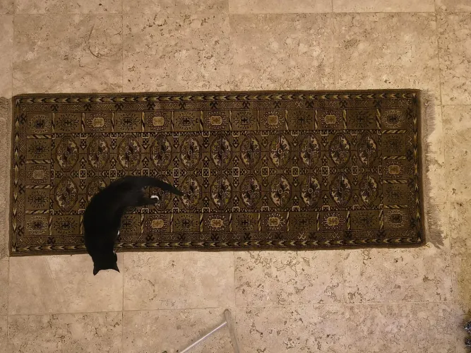 Tapete Passadeira Persa Bokhara