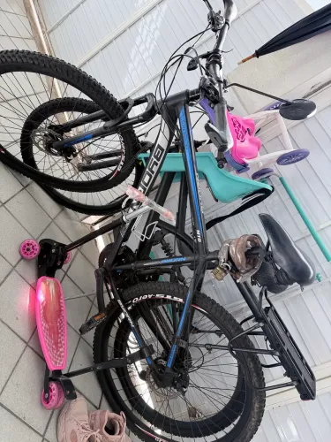 Bicicleta profissional