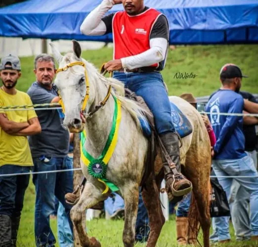 CAVALO PICADA MARCHADOR 