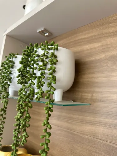 Decoração