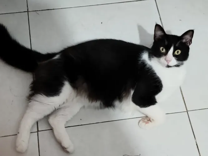 Doação