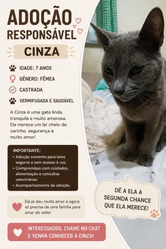 Adoção responsável