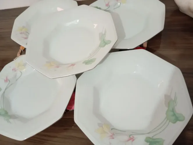 Vendo cinco pratos fundo de refeição da chimidt
