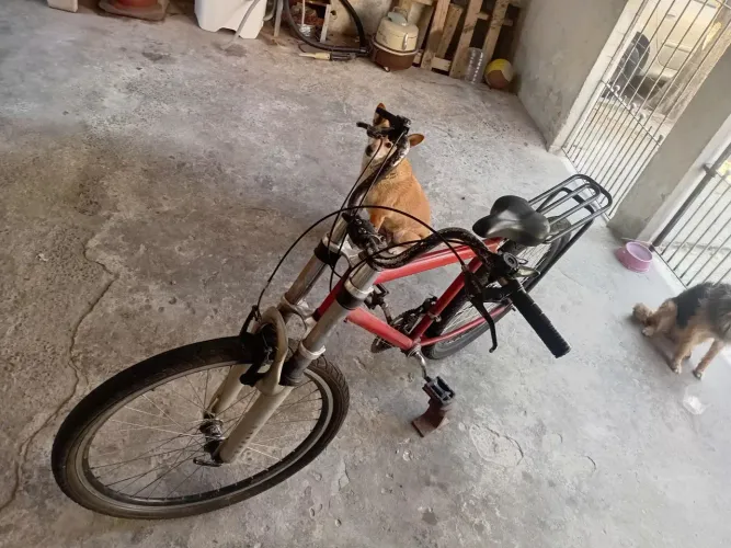 Bicicleta aro 26 vermelha