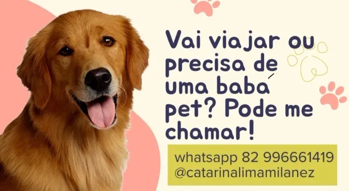 Hotel/babá pet/pet sitter