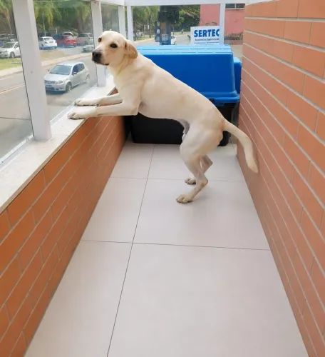 Doação 