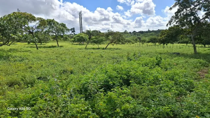 Excelente área de terra de 9. 5t Distrito TiquaruçúR$ 380.000t