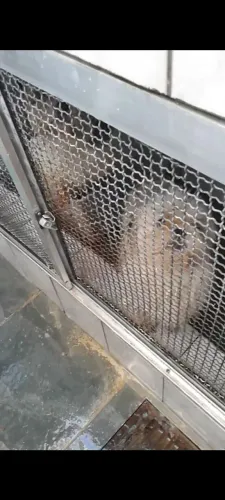 Portas em alumínio, cercados, etc para baías de animais. Vendo ou troco. R$ 200,00.
