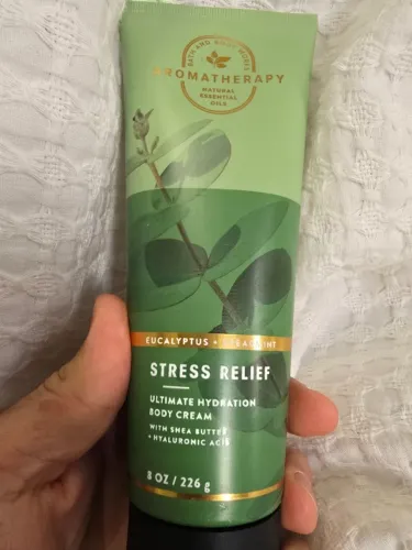 Eucalyptus Spearmint bath and body works Ultimate Hydration Body Cream