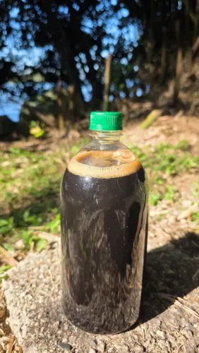 Adubo Líquido 1 Litro Concentrado Cocozitos | Rende 15 Litros | Biofertilizante Orgânico