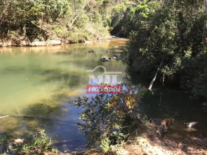 Fazenda 390 Alqueires (1.887 Hectares) Agua Fria de Goias - GO