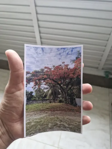 Impressão de Fotos no Papel Fotográfico10X15 cm