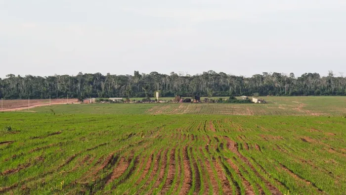 Fazenda de arrendamento 1.050 hec em nova Maringá MT.