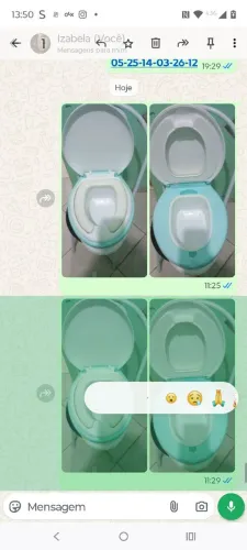 Troninho desfralder 