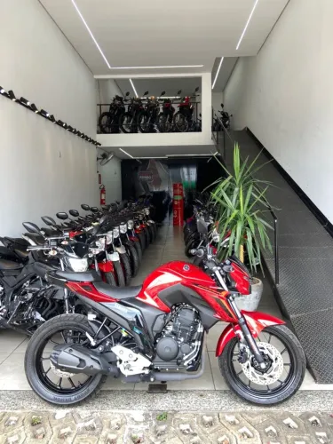 Yamaha Fazer FZ25 250 FLEX