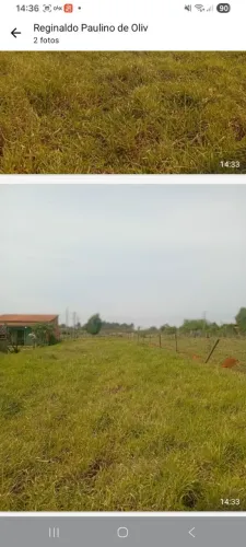Terreno lotes