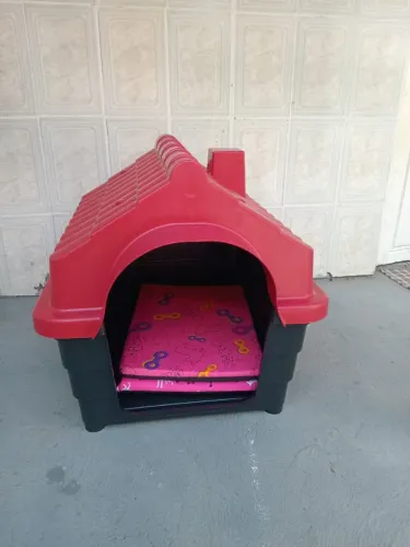 Casinha de cachorro 