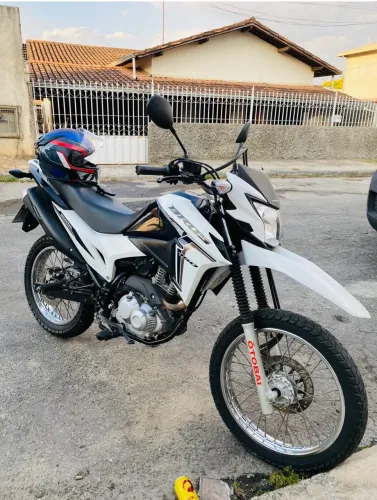 VENDO BROSS 2023