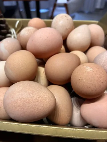 Ovos de Galinha Da Angola