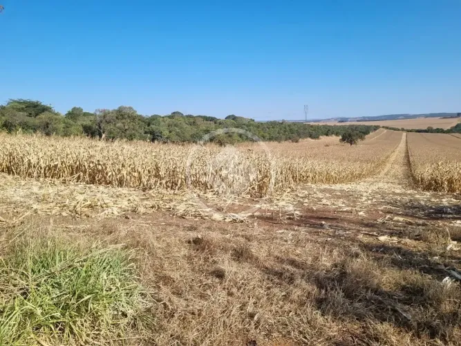 Caiapônia - Fazenda de 26,97 Hectares codigo: 142797