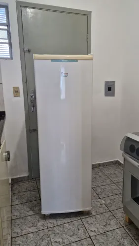 Freezer Vertical Consul