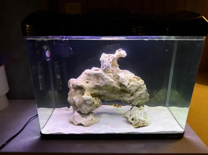 Aquário 60L - Boyu modelo ec600