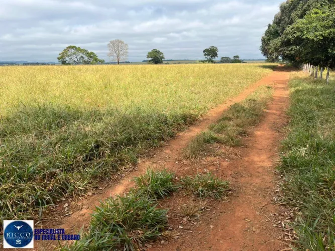 VENDE-SE CHÁCARA EM TAQUARAL DE GOIÁS | 4 ALQUEIRES