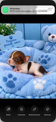 Pincher micro 