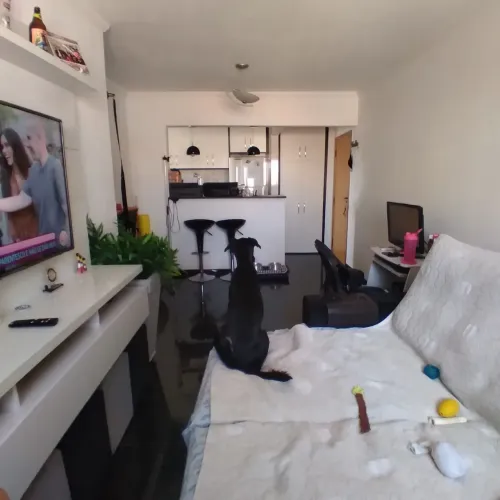 Apartamento para venda possui 86 metros quadrados com 2 quartos em Santana - São Paulo - S