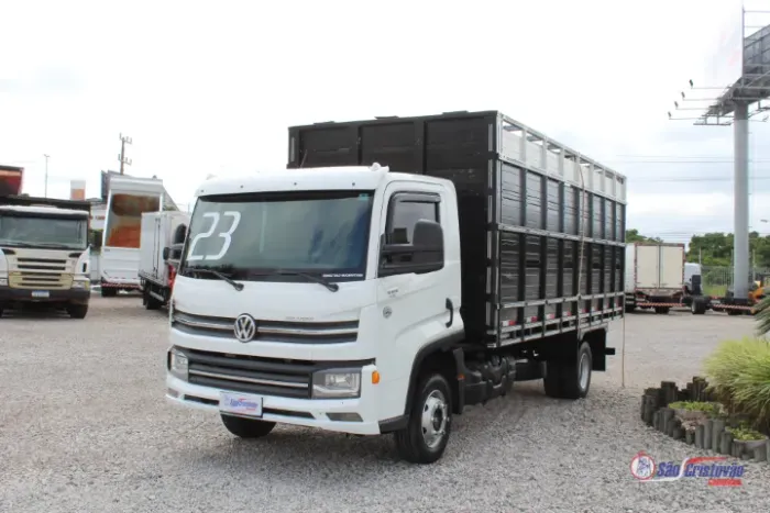 Vw 9-170 2023 com boiadeiro