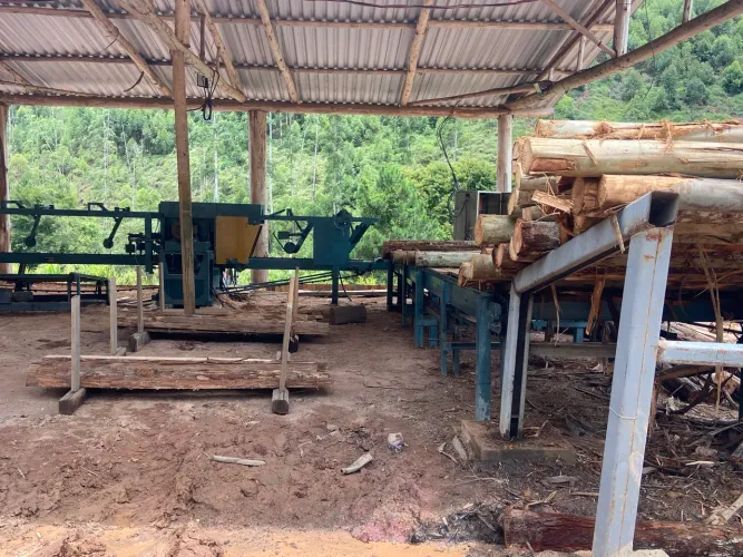 Linha para serraria de madeira