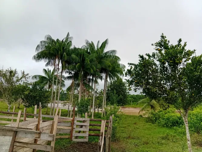 Colônia a venda em Feijó ac