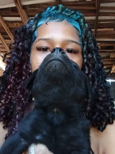 Cachorro 