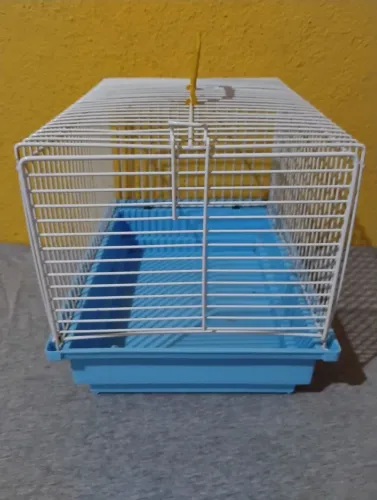 Gaiola azul 