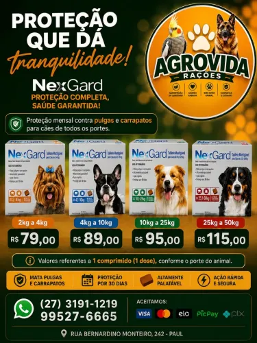 NexGard Original - Antipulgas e Carrapatos para Cães | Todos os Portes | Pronta Entrega