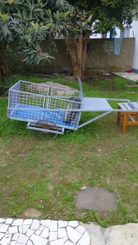 Carinho recicle