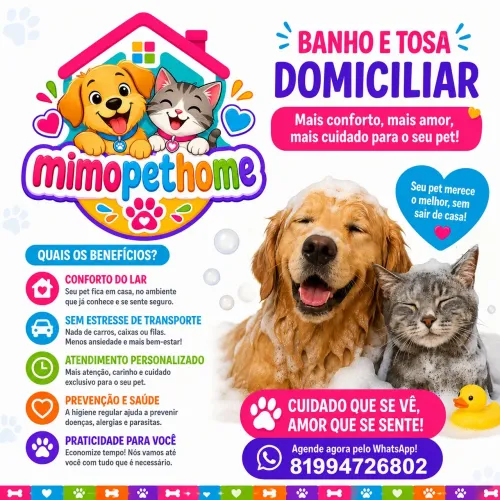 Banho e tosa 