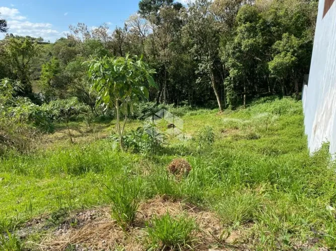 Terreno em bairro tranquilo