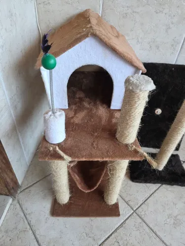 Casinha para gatos.