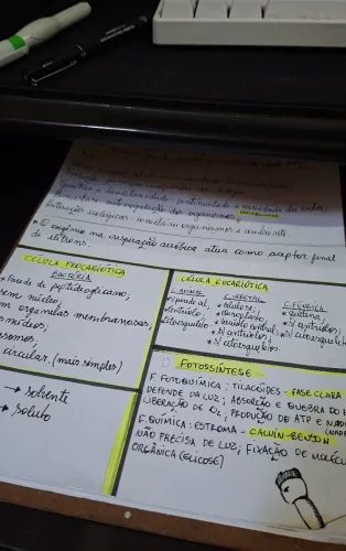 Aulas particulares de Biologia e Química avançadas