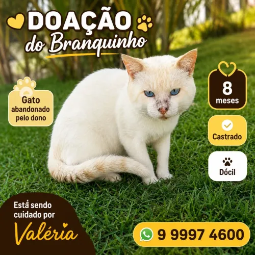 BRANQUINHO