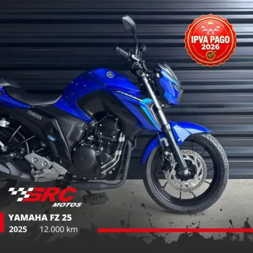 FZ25 FAZER