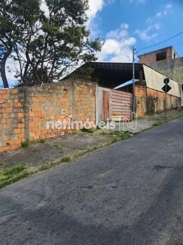Venda Lote-Área-Terreno Palmeiras Belo Horizonte