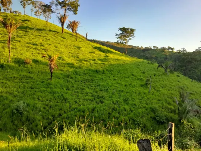 otima fazenda 50. alqueires municipio padre bernardo 1.980 milhôes