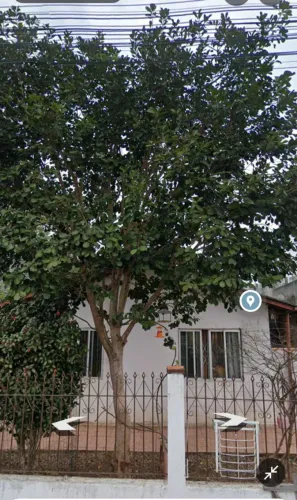 Casa no bairro São Vicente (bambuzal)