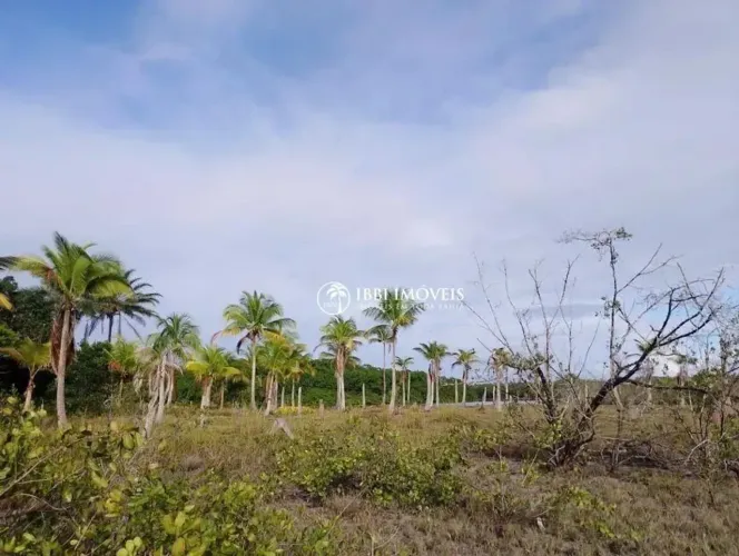 Terreno Residencial à venda, Barra Grande, Maraú - TE0323.