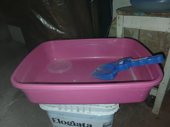 Vendo
