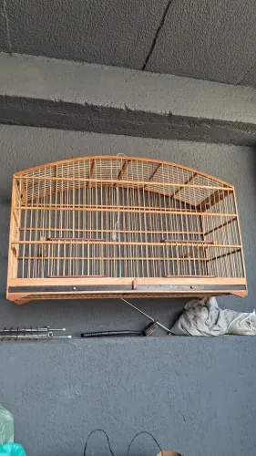 Voador 1 mês de uso