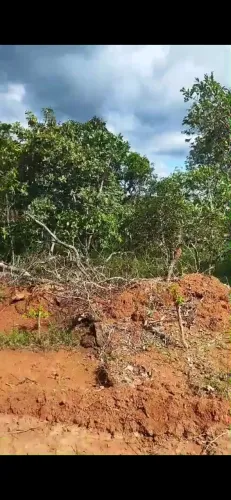 Chácaras 6 mil reais entrada Aragoiânia Go